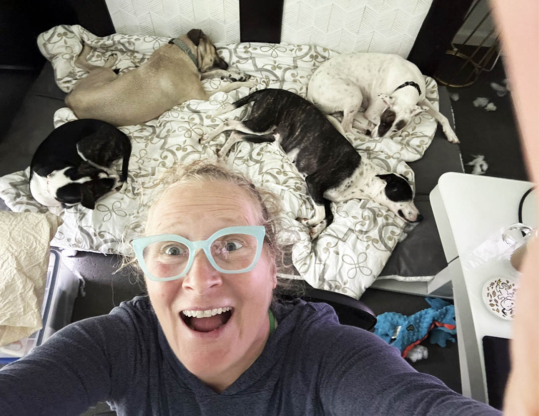 image of sleeping dogs