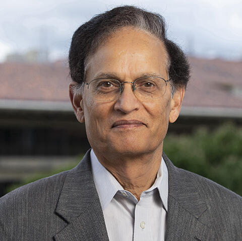 prof Krishna Saraswat