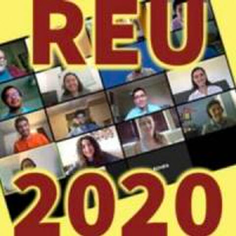 REU 2020 cohort