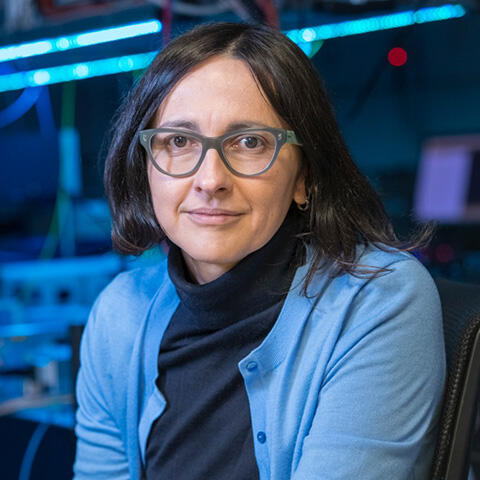 professor Jelena Vučković