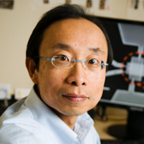 prof Philip Wong
